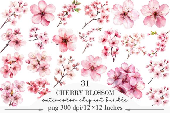 Download Watercolor Cherry Blossom Clipart - Watercolor Collection