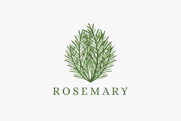 Download Fresh Green Rosemary Logo Vector - Fresh green Collection