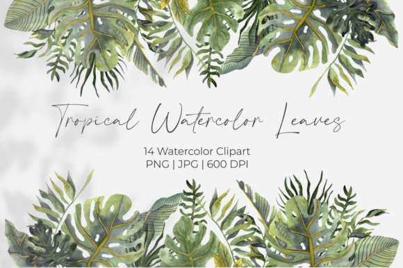 Download Tropical Watercolor Leaves Clipart - Watercolor Collection