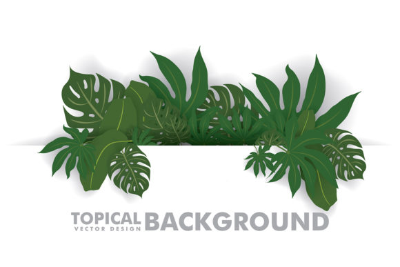 Download Fresh Green Tropical Leaves - Fresh green Collection