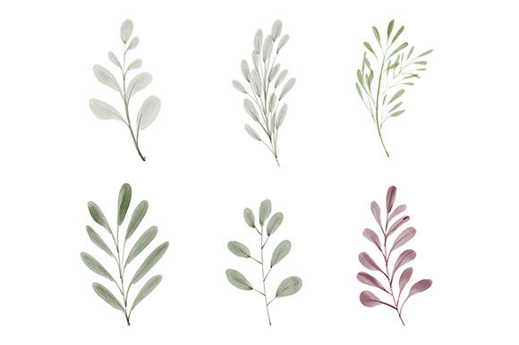 Download Watercolor Leaf Greenery Element Set - Watercolor Collection