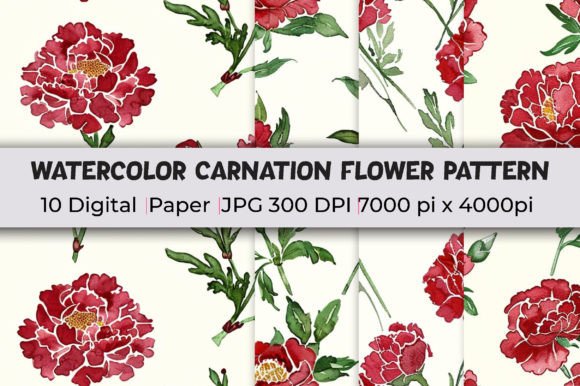 Download Carnation Flower Patterns Watercolor - Watercolor Collection