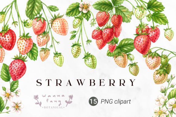 Download Strawberry Fruit Watercolor Clipart, PNG - Watercolor Collection