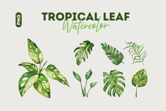 Download Tropical Watercolor Leaf Collection - Watercolor Collection