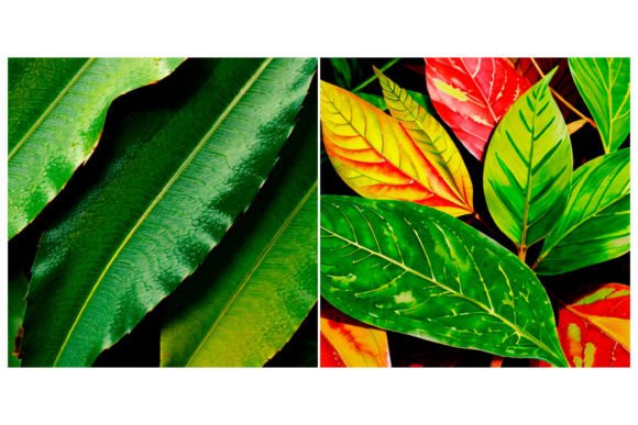 Download 2 Watercolor Leaf Pattern - Watercolor Collection