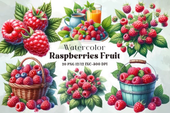 Download Watercolor Raspberries Fruit Clipart - Watercolor Collection