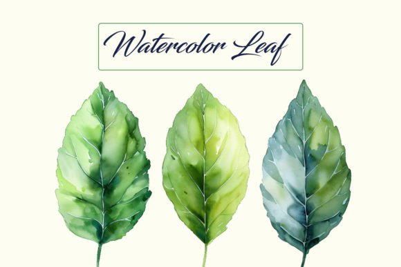 Download 3 Watercolor Leaves Bundle - Watercolor Collection