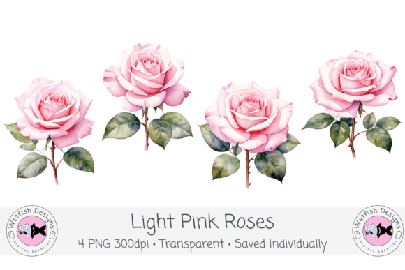 Download Watercolor PNG 300dpi Light Pink Roses - Watercolor Collection