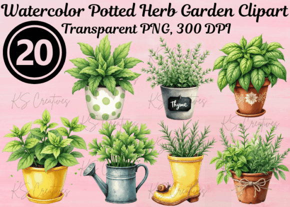 Download Watercolor Potted Herb Garden Clipart - Watercolor Collection